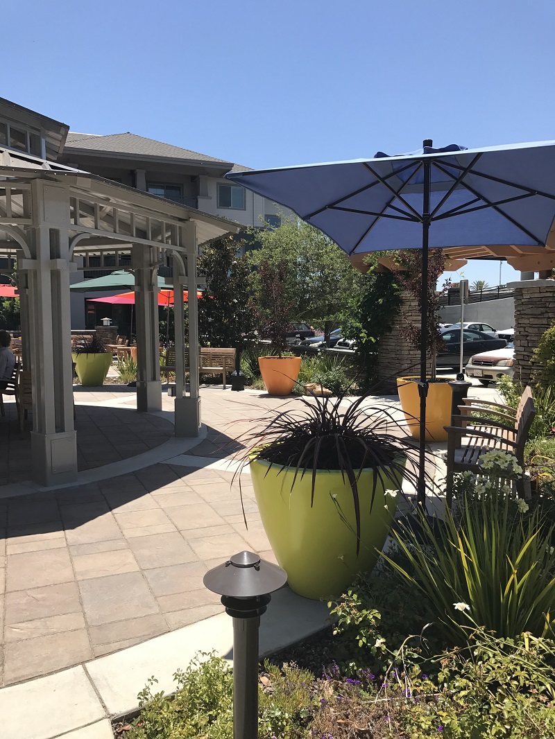 curtis-park-4158