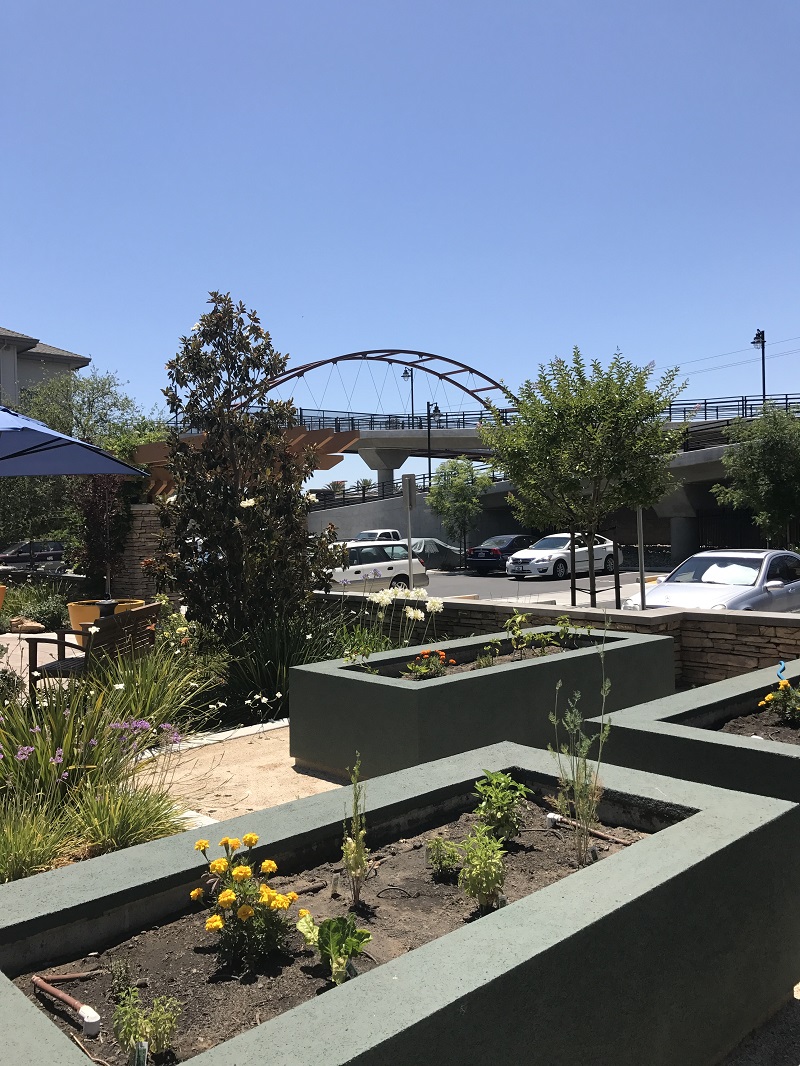 curtis-park-4159