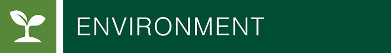 environment